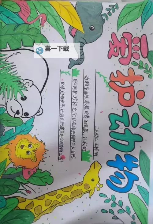 用爱心拯救小动物，共建和谐家园图1