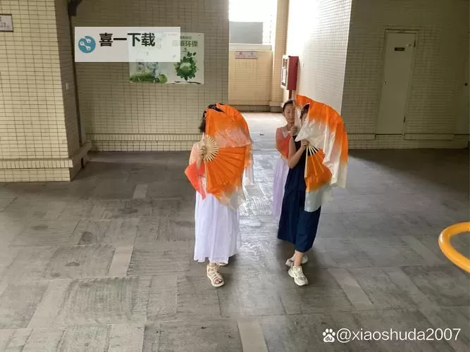 准备好纸巾的舞蹈:感动心灵的瞬间图1