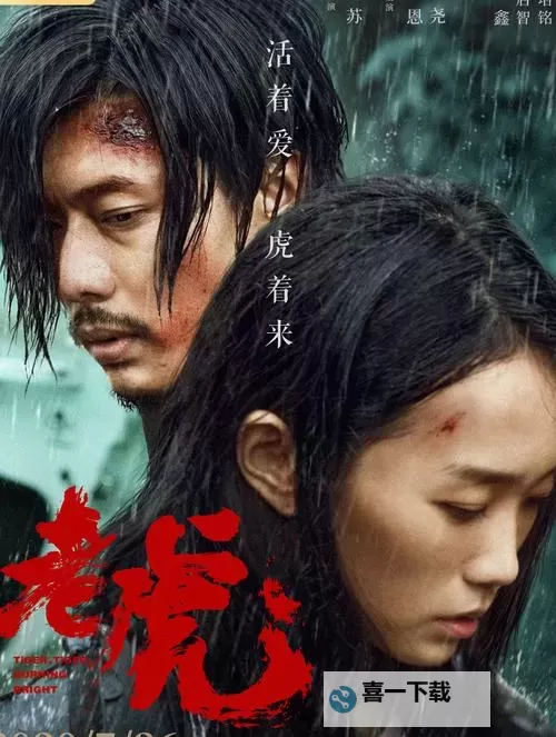 四虎在线2023:全新升级,打造高清免费观看新体验图1