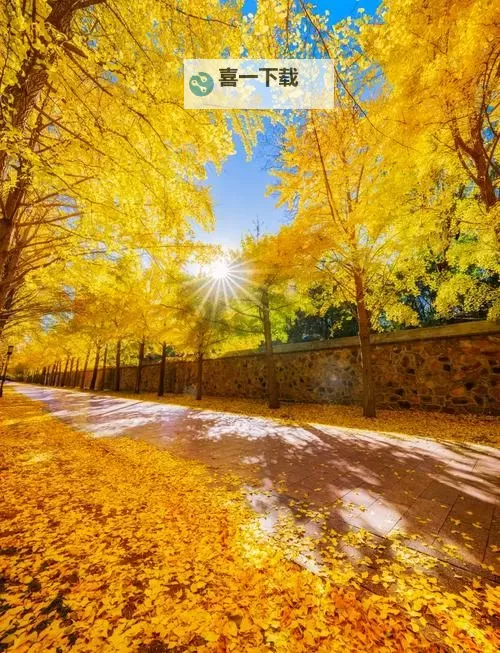 《揭秘造梦西游3隐藏罗宣全攻略》图1