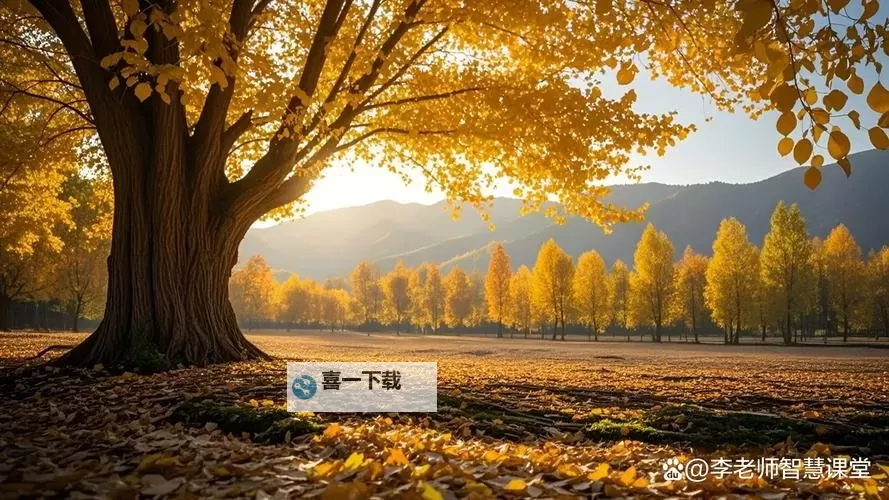 《揭秘造梦西游3隐藏罗宣全攻略》图2