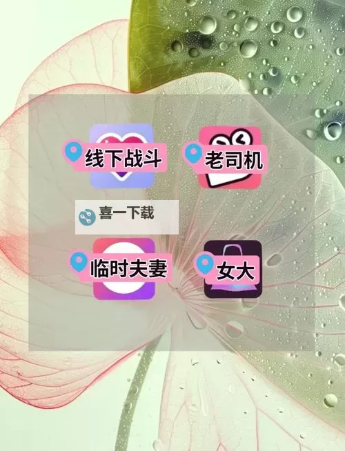 男生和女生一起查查查视频app：趣味互动新体验图1