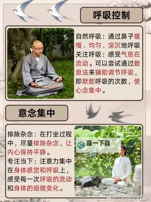 禅定打坐入定秘诀：领悟内心平静的终极指南图1