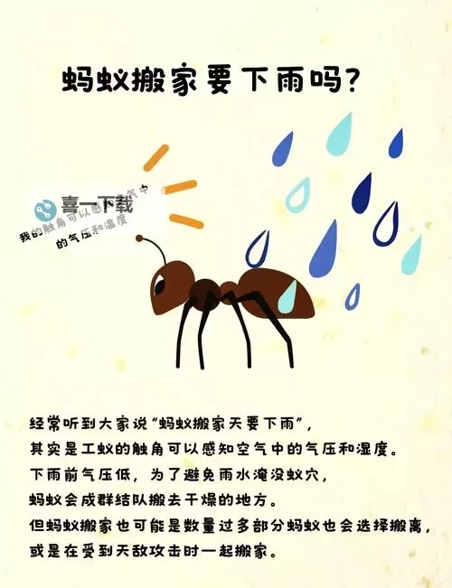 探索高效生活的秘密:完美辅助盒子全方位解决方案图1