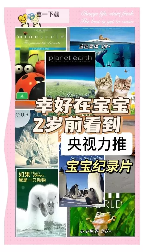 幼儿12到14视频3000片：丰富内容助力早期教育与趣味成长图1