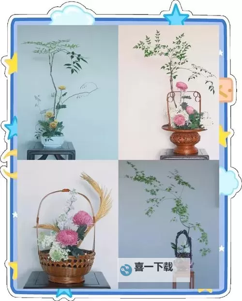 紫龙插花芯:打造别样花艺的精彩之选图1