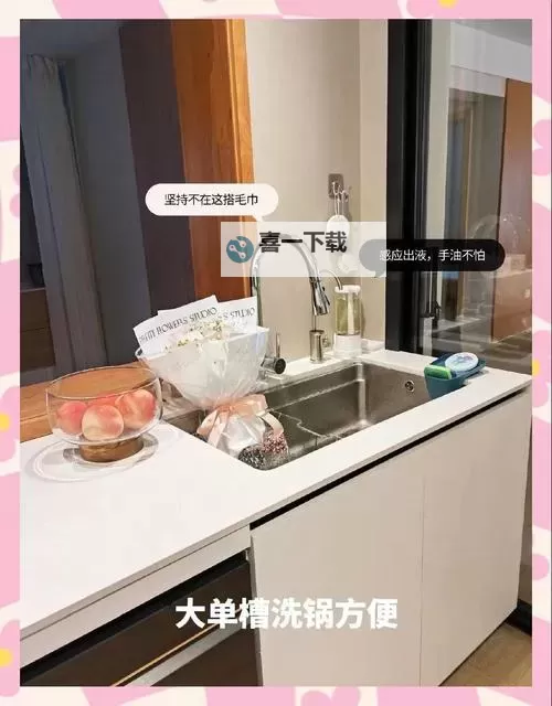 赛尔号斯普林特怎么培养:全面指南助你打造强力战宠图2