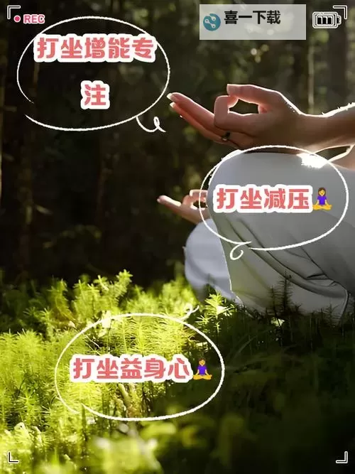 探索那里打坐容易入定的最佳地点与方法图1