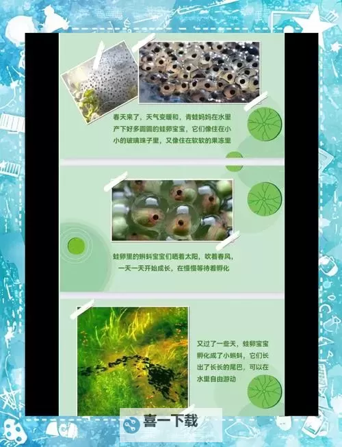 蝌蚪福利综合网:最新内容推荐与精彩资讯汇总图2