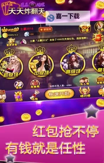 打造全方位娱乐体验：天天爱天天做天天大综合精彩纷呈图1