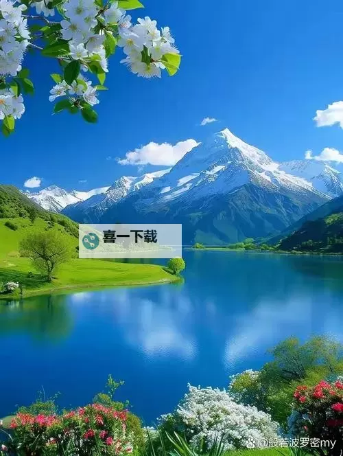 在线播放无忧,尽在7723免费视频观看图1