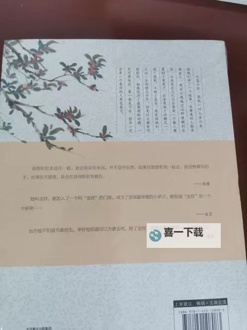 云锦珞容彻小说：璀璨织锦中的爱与命运传奇图1