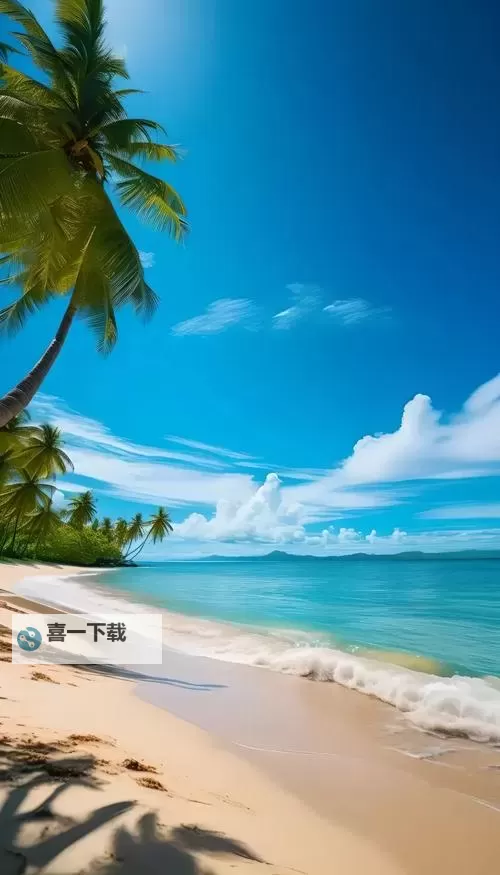 最耀b全集：尽享完美盛宴的精彩集锦图1