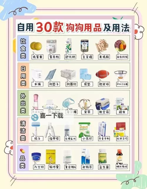 《野狗子》可收集物品一览图1