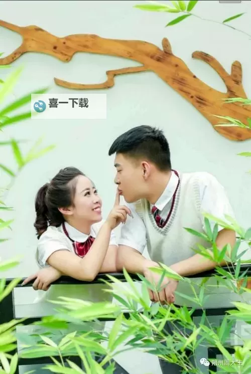 最美情侣高清免费视频播放：浪漫瞬间全纪录图1