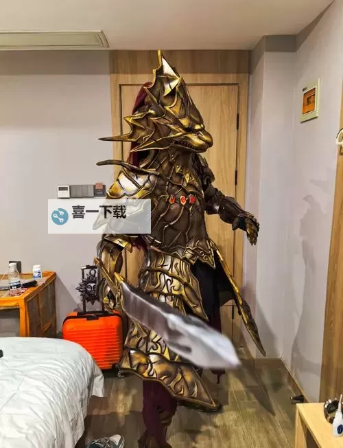 黑暗之魂2 常用防具综合性能对比分析图1