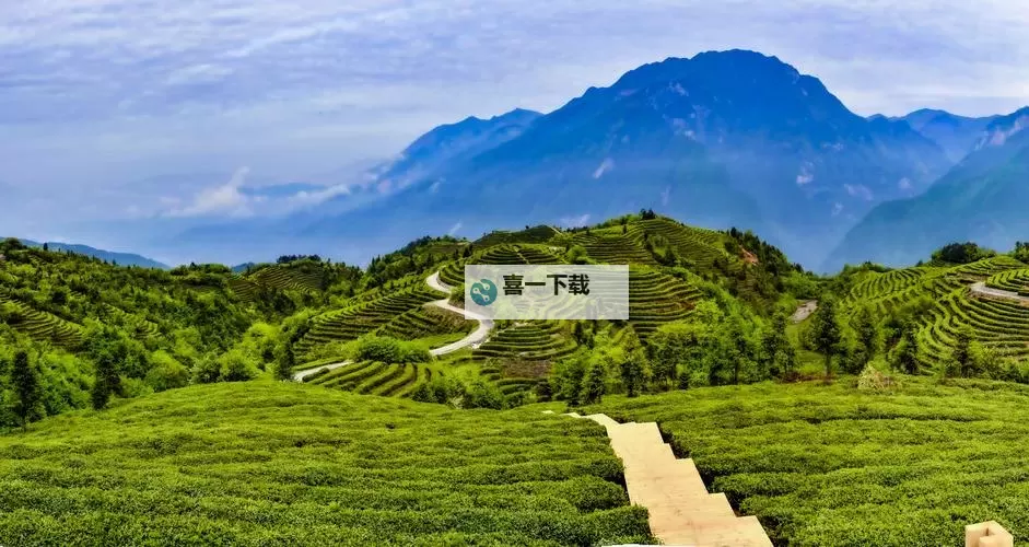 最新精选！免费看最近中文字幕MV在线看，尽享视听盛宴图1