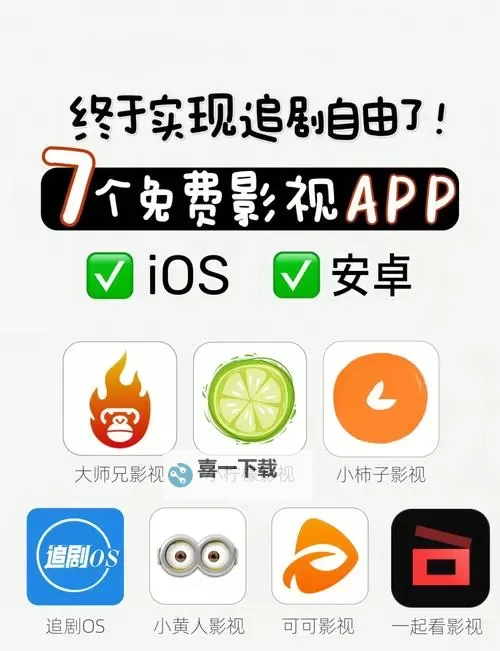 探索优质体验：2024年值得信赖的永久不收费的视频软件APP推荐图1