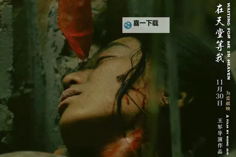 免费在线观看:在线天堂8高清版在线观看完整版体验图1