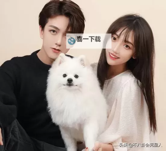 高清在线看:最美情侣免费观看视频HD,甜蜜瞬间一网打尽图1