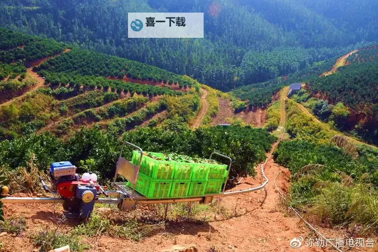 果园守卫战怎么双开、多开？果园守卫战双开助手工具下载安装教程图1