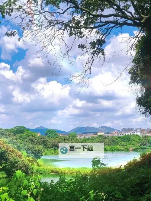 南方公园:真理之杖 通关图文心得图1