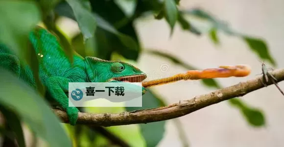 极速变色龙怎么双开  极速变色龙双开挂机软件推荐图1