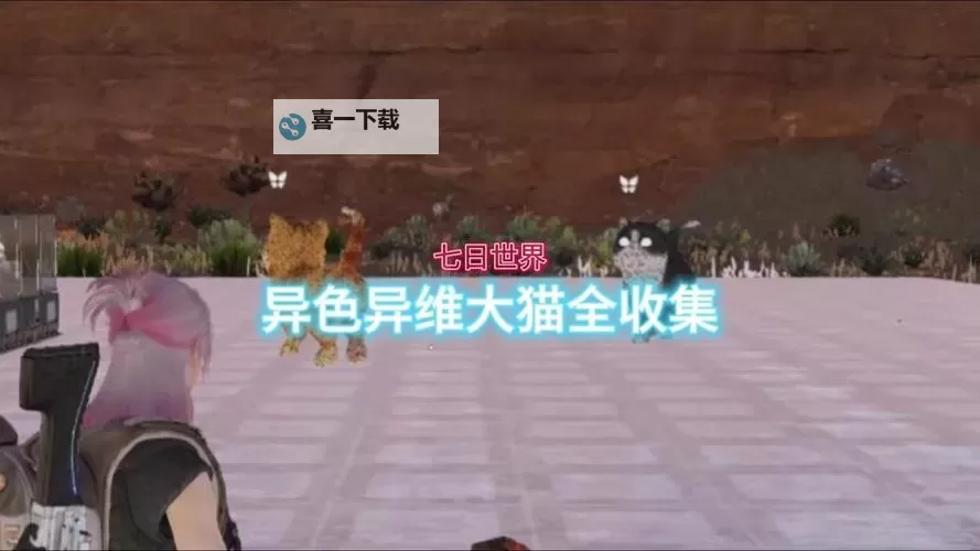 《七日世界》异维大猫获取方法 异维大猫怎么获得图1