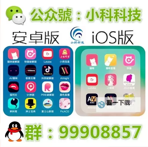 探索猫咪社区AV成人世界:宠物与成人娱乐的奇妙结合图1