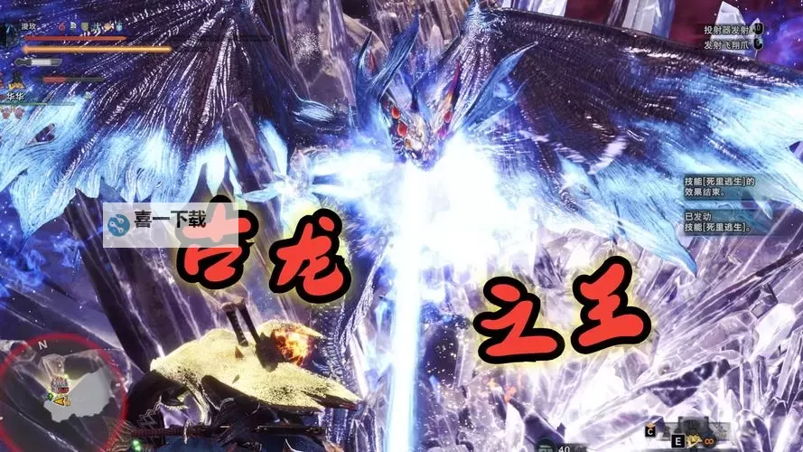 《怪物猎人世界》历战王冥灯龙讨伐心得及配装图1