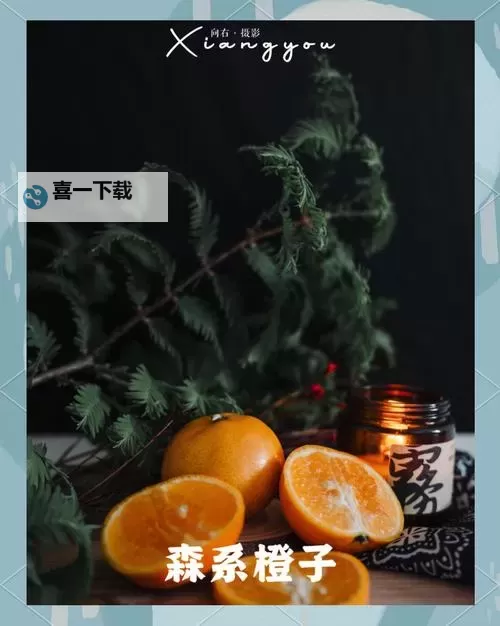 《拯救橙子3：果园危机的终极战役》图1