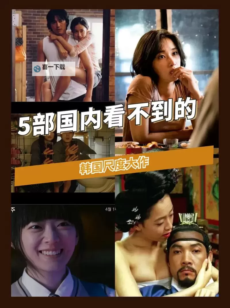 韩国最大成人免费网站：全面解析与资源推荐图1