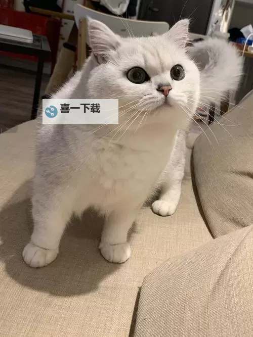 自己坐下来不疼乖乖的:温柔的守护与安心的陪伴图1