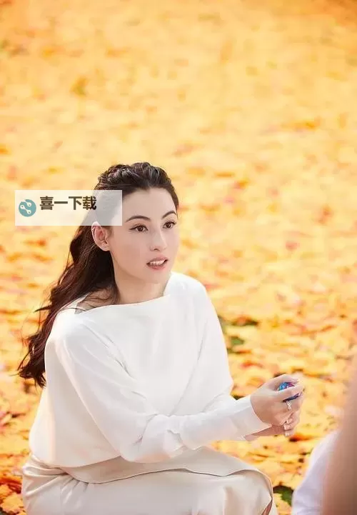 珍贵张柏芝下毛37张:揭秘明星私密瞬间的视觉盛宴图1