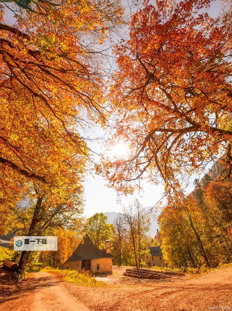 深化合作：驱动未来发展的日韩无码视频会议圆满举行图1