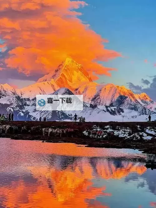 《村长征战团》紫色武将怎么招募？紫色品质武将获取指南图1