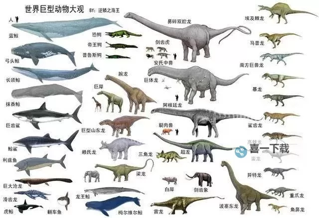 怎么双开巨大鲸？ 巨大鲸双开挂机图文全攻略图1