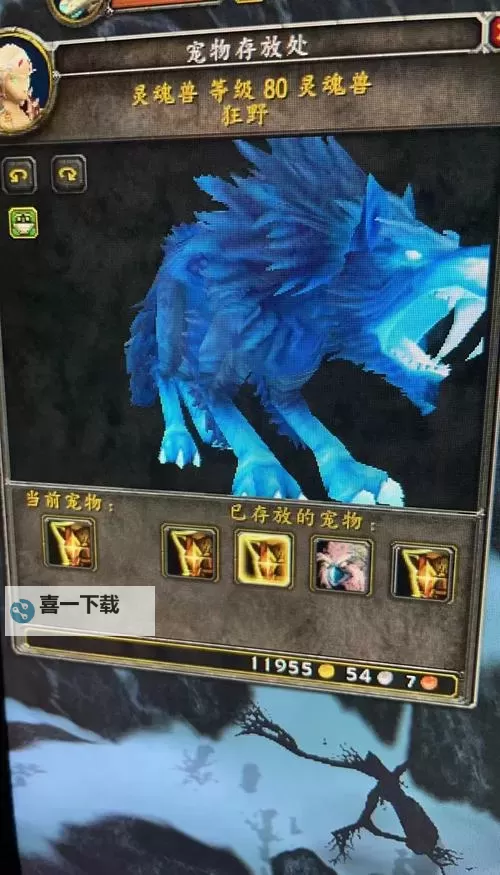 《魔兽世界》9.0高颜值宠物位置及获取方法图1