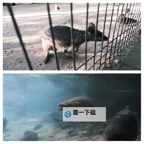 探索未知的奇幻世界——勇敢者乐园的勇气与梦想图1