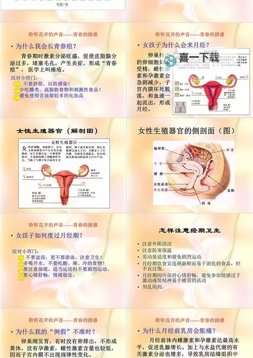 青春成长的关键时刻：真人版青春期女性教育PPT指南图1
