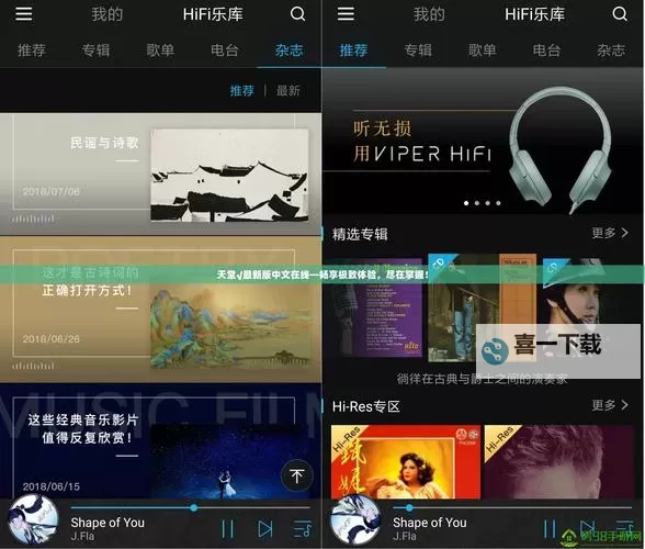 可靠的中文字幕下载网站推荐：免费在线观看与离线下载平台图1