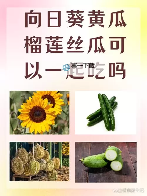 《草莓丝瓜向日葵黄瓜榴莲最新章节》：四季瓜果盛宴的奇幻之旅图1