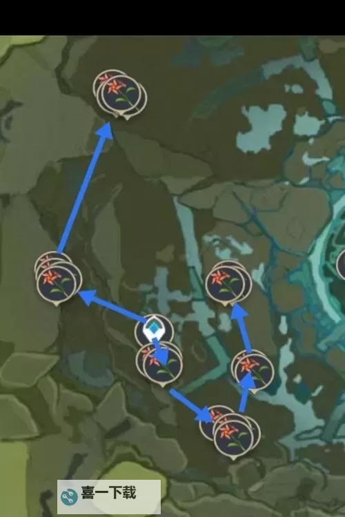 《原神》风车菊采集路线推荐图1