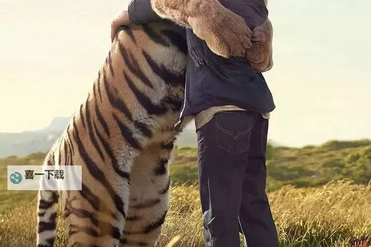 日本人与动物:共生之道与文化底蕴图1