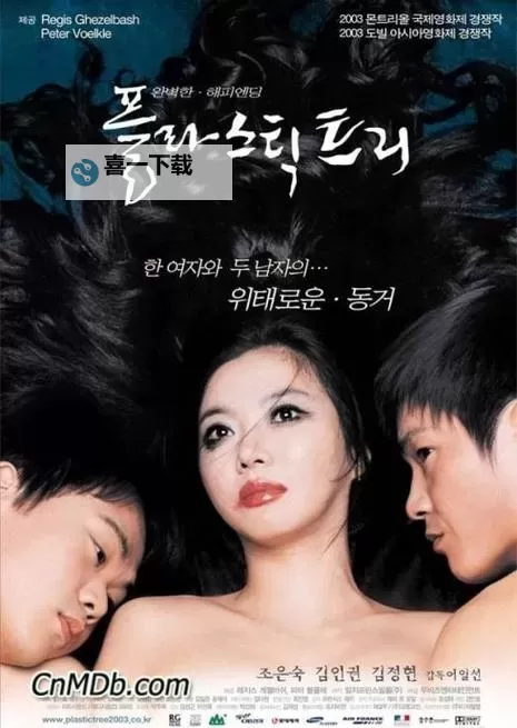 一级A是免一级还是二级韩国一级片：全面解析韩国电影网站分类标准图1