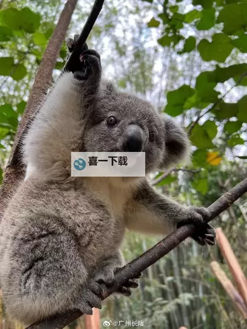 国产毛卡在线观看完整版免费观看，畅享精彩剧情 免费在线播放图1