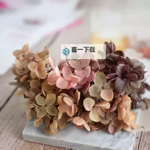 全面解析：国产A级汽车的核心优势与市场前景图1