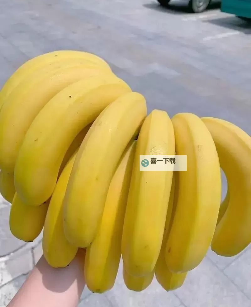 探索最新福利资源：九九香蕉视频带你畅享精彩内容图1