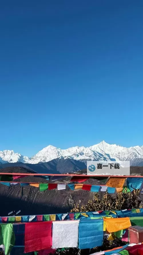 幼兽萝莉萝莉精品:纯真童趣的梦幻世界图1