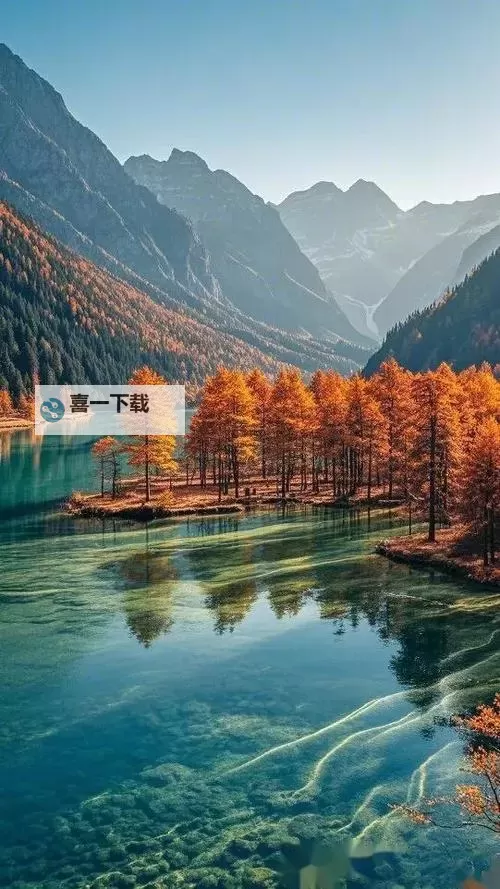 一本道综合李宗瑞：揭秘娱乐圈中的传奇故事图1